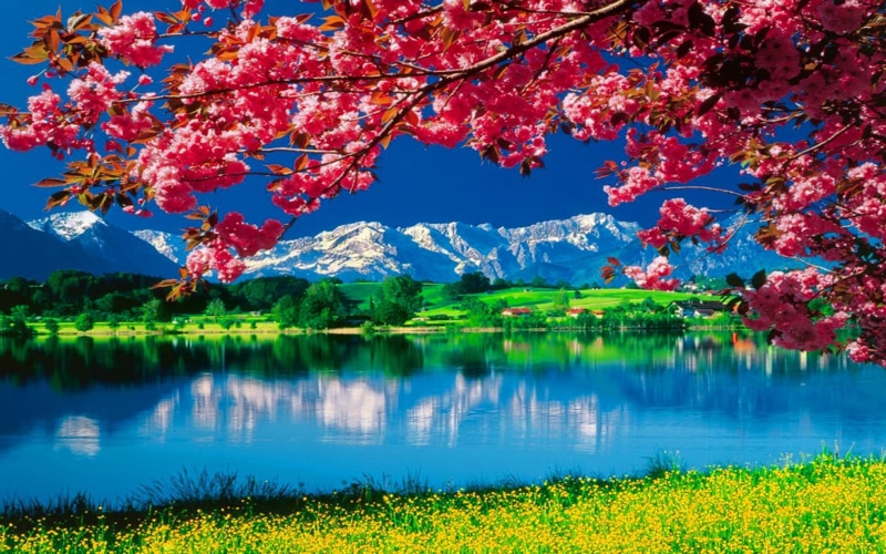 nature, 2K, daydreaming