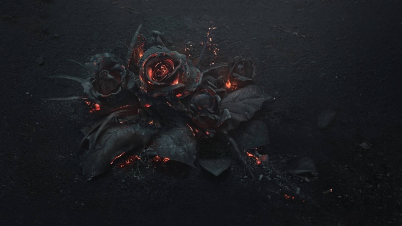 2K, land, outdoors, Gothic, burnt, heat - temperature, field, directly above, fire, high angle view, fire - natural phenomenon, flowers, rose, plant, no people