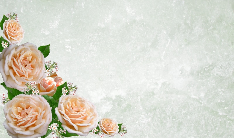 flower, white color, nature, plant, wedding, flower arrangement, bouquet, no people, colored, rose, rose - flower, 4K, roses, copy space, flowering plant