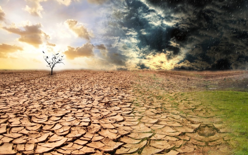 1080P, Land, Dry