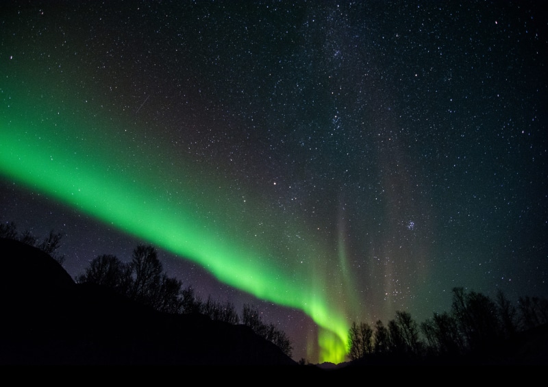 star field, trees, outdoors, night, stars, mystery, starry night, aurora polaris, tranquil scene, atmosphere, milky way, space, photo, scenics - nature