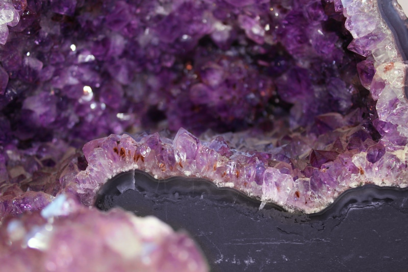 nature, stone, animal, shine, rock, gemstone, close-up, animal themes, gem, animals in the wild, sea, glitter, undersea, no people, sea life, underwater