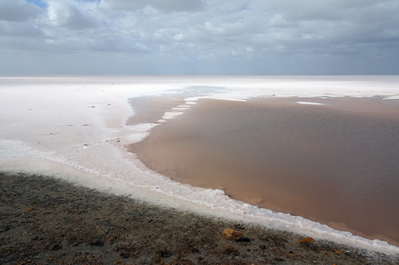 aquatic sport, day, sky, landscape, scenic, saline, beach, wave, cloud - sky, surfing, land, barren, scenics - nature, salt, road, kutch, great rann, india