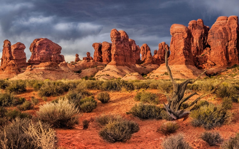 solid, states, no people, rock formation, hd, travel destinations, national, beauty in nature, sandstone, tablet, arches, tranquil scene, arid climate