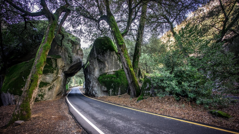 sony, green, US, street, outdoors, fullframe, geotagged, United States, a7, valley, yosemite, mountain, nature, grey, street photography, California, nature  park