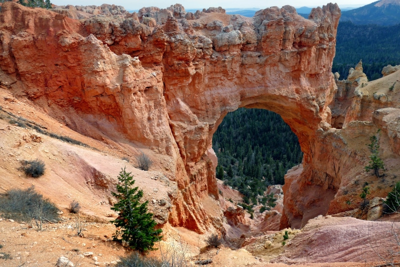 flickr, canyon, eroded, red, landscape, photos, Bryce Canyon Utah, Arizona, Natural Bridge, mountain, lover, Panasonic, utah, cannon, geology, geo tagged