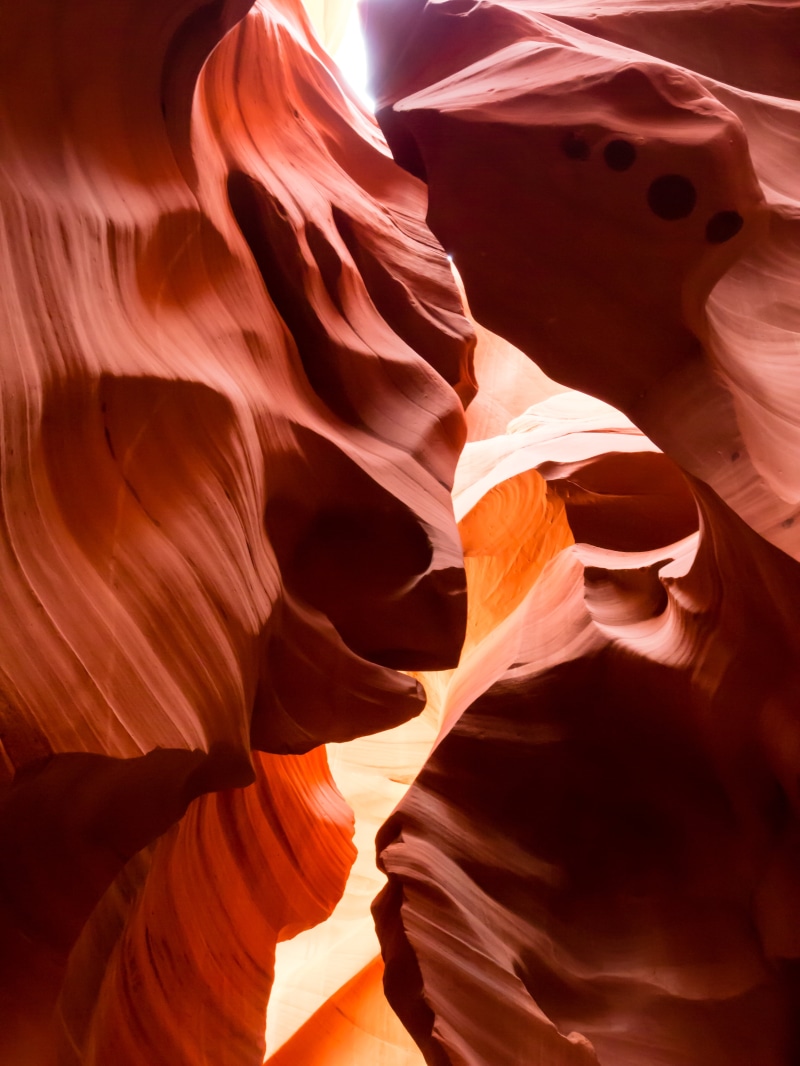 arizona, antelope Canyon, slot Canyon, pattern, antelope, beauty In Nature, red, desert, travel, turtle, scenics, 4K, nature, canyon, uSA, rock - Object