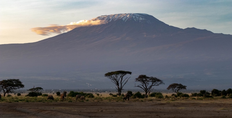 scenics - nature, savannah, kilimanjaro, volcano, volcanic crater, amboseli national park, environment, no people, beauty in nature, nature, non-urban scene
