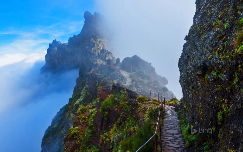 environment, plant, outdoors, tranquil scene, scenics - nature, tranquility, rock, cloud - sky, madeira, water, trail, sky, 1080P, nature, no people, beauty in nature