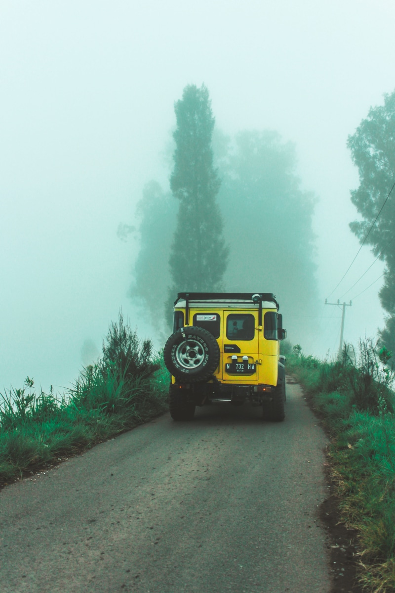 fog, yellow, indonesia, school bus, moody, adventure, folks, public transportation, trees, forest, day, environment, road, tree, green, mode of transportation