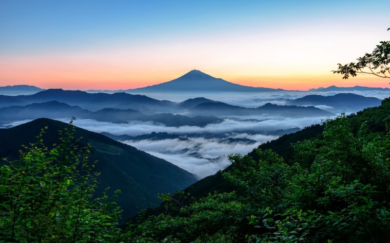 fog, non-urban scene, green, 1080P, mountains, idyllic, sky, sunset, tranquility, tranquil scene, cloud - sky, outdoors, no people, landscape, plant, scenics - nature