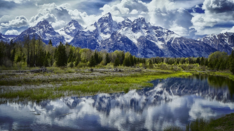 mobile, mountain, hd, reflection, tetons, moran, plant, waterfront, cloud - sky, phones, non-urban scene, day, grand, scenics - nature, snow