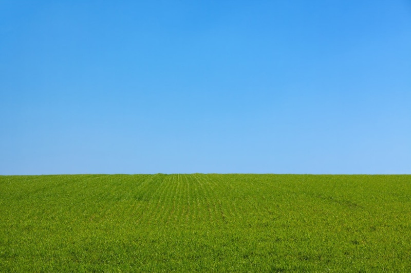 day, tranquil scene, outdoors, landscape, sky, park, lawns, plants, clear sky, nature, grass, tranquility, horizon, environment, rural scene, green, copy space