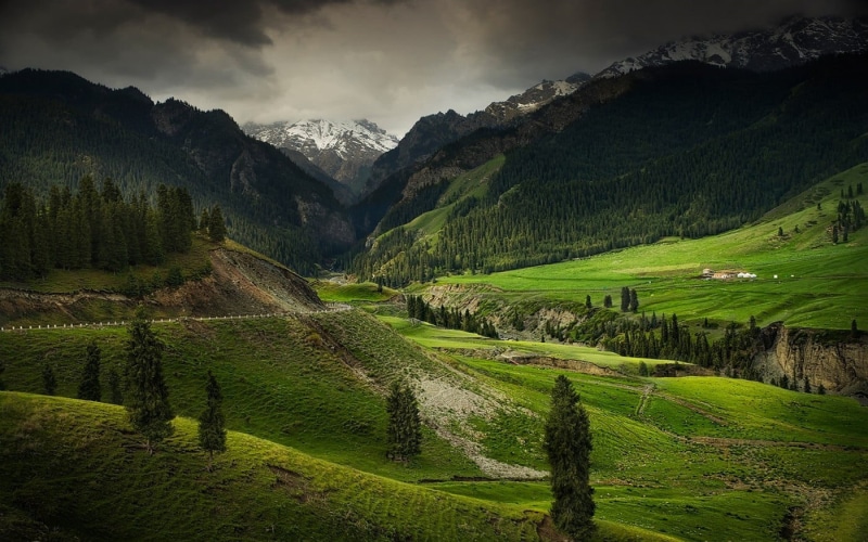 idyllic, beauty in nature, land, tree, cloud - sky, sky, landscape, nature, field, green, environment, scenics - nature, China, green color, tranquil scene