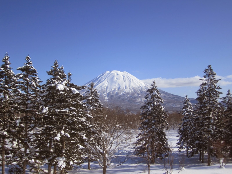 mountain peak, snowcapped mountain, winter, tranquil scene, clear sky, plant, ski, 4K, niseko, beauty in nature, nature, sky, pine tree, outdoors, tree