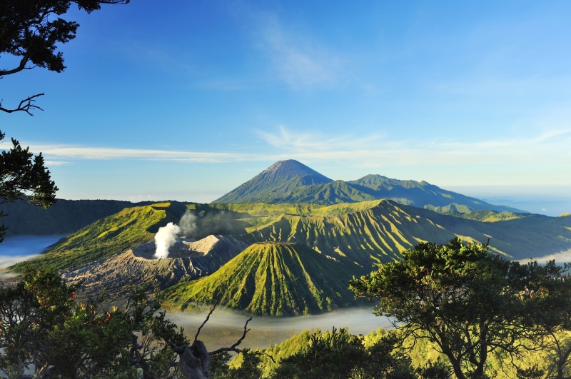 branches, Indonesia, volcanoes, fog, trees, the sky, mountains, Surabaya, the sun, Mount Bromo, 2K, valley