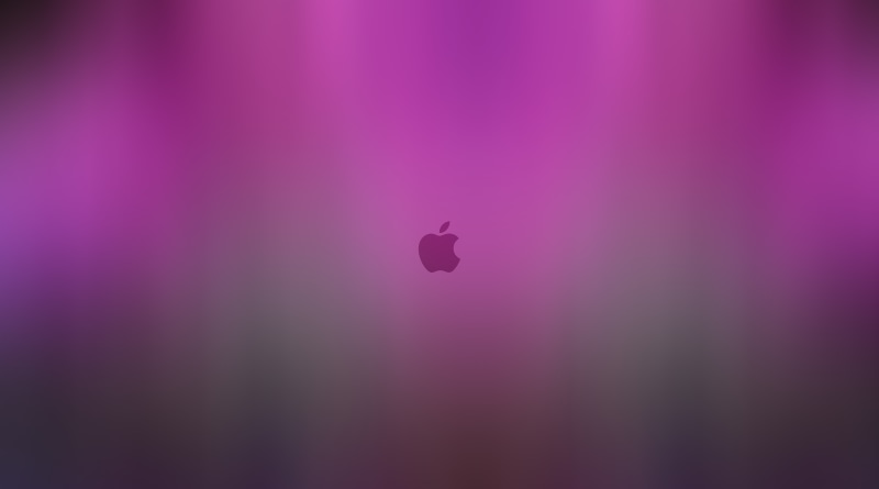 night, full frame, mid-air, Mac, magenta, single object, outdoors, k, beauty in nature, icloud, copy space, hd, animal themes, 5K, animal, flying