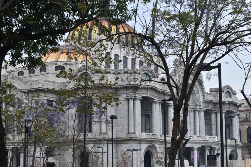 outdoors, place of worship, tree, belief, building exterior, plant, arch, urban, built structure, sky, low angle view, cdmx, city, architecture, ciudad de méxico