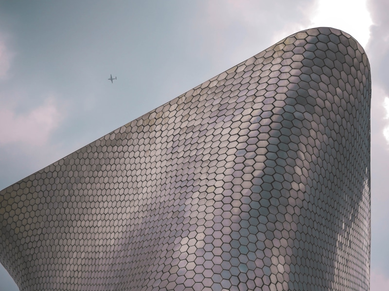 animals in the wild, outdoors, animal themes, flying, low angle view, skyscraper, ciudad de méxico, building exterior, one animal, built structure, cloud - sky