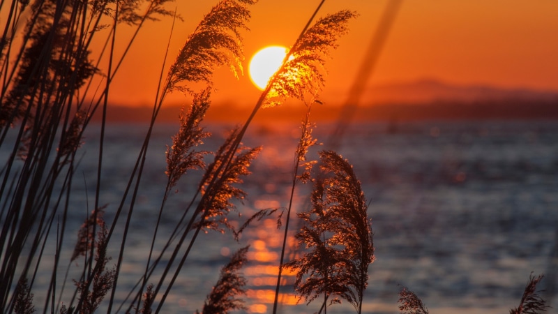 sun, tranquility, tranquil scene, water, nature, land, no people, orange color, environment, outdoors, sunset, cloud - sky, sunlight, beauty in nature