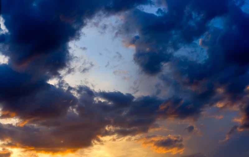 wind, beautiful, atmosphere, brightly lit, summer, scenics - nature, low angle view, moody, dramatic sky, season, afternoon, abstract, dark, scene, bright