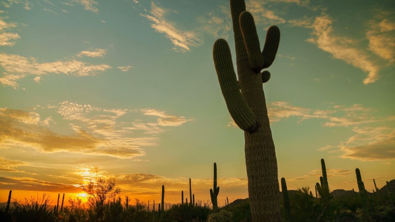 western, cloud - sky, outdoors, sunlight, beauty in nature, no people, land, sky, desert, sunset, field, scenics - nature, national park, tranquil scene