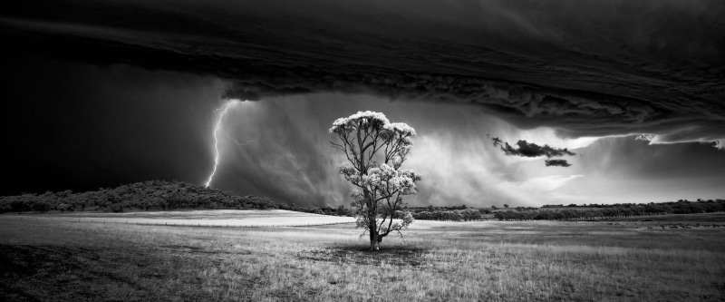 scenics - nature, flowering, ominous, tree, monochrome, aggression, hills, 720P, environment, nature, power, sky, sign, power in nature, cloud - sky, supercell (nature)