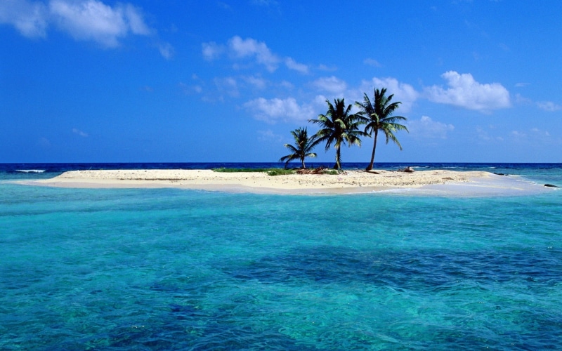 1080P, ocean, hd, beaches, sea, art, trees, skyscapes, nature, beach, Blue, windows, xp, animals, x