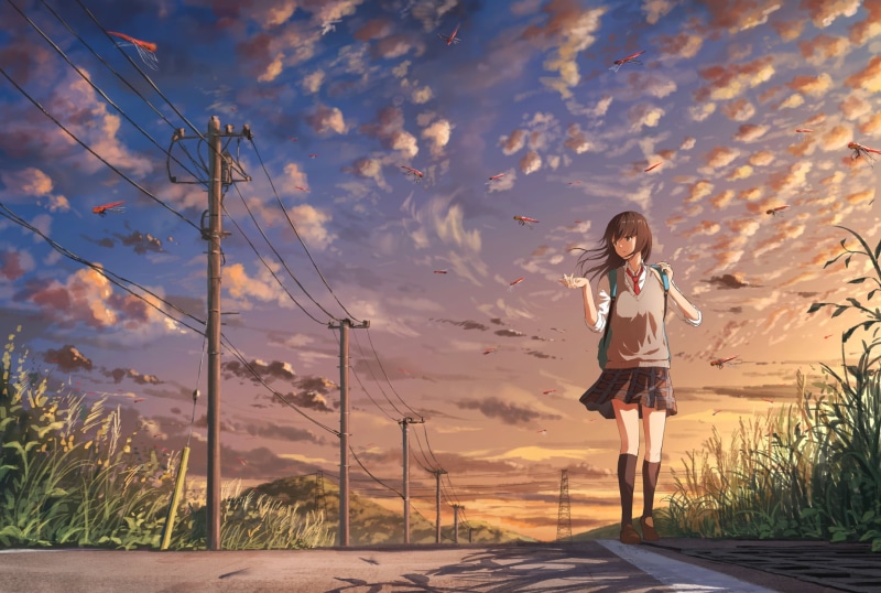 lifestyles, women, hairstyle, young adult, sunlight, school uniform, standing, sunset, dragonflies, leisure activity, transportation, anime, landscape