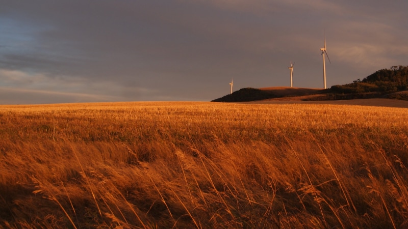 wind Power, blue sky, wheat, Electric, environment, grass, Wind Generator, blue, turbine, field, canada, power Supply, renewable energy, turning, energy