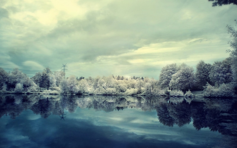 autumn, beauty In Nature, frost, cloud - Sky, sun, day, blue, lake, sky, forest, white, tranquility, cold - Temperature, morning, sunlight, reflection