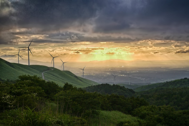 wind Power, near, power Supply, nature, outdoors, environment, evening, tree, renewable energy, scenics - nature, electricity, alternative Energy, power