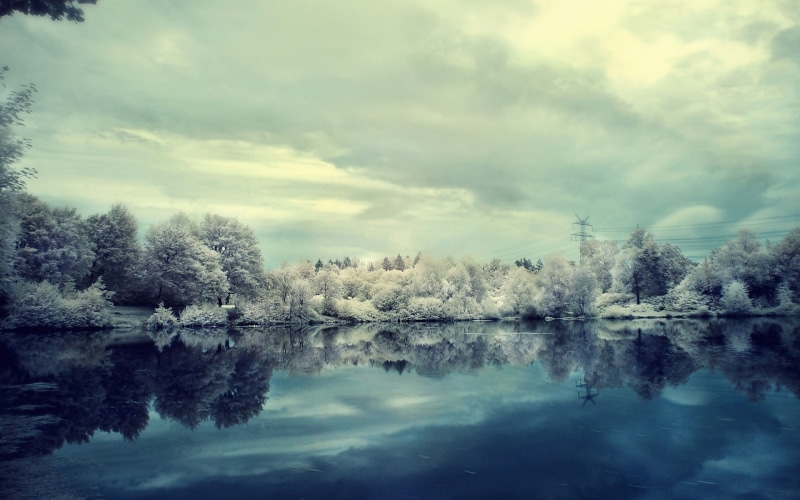 tranquil scene, day, lake, plant, forest, reflection, power lines, no people, tree, landscape, sky, water, idyllic, scenics - nature, 1080P, tranquility