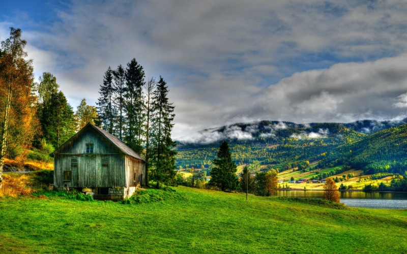 building, no people, forest, sky, grass, trees, nature, scenics - nature, heavy, clouds, cloud - sky, tranquil scene, land, built structure, agricultural building