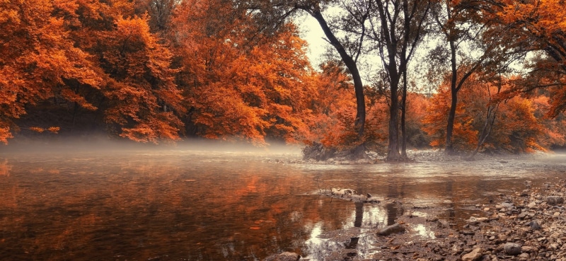 red, stream, landscape, light - Natural Phenomenon, tree, scenics, color Image, backgrounds, change, river, park - Man Made Space, sunlight, lake, plant part