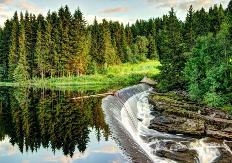 pine trees, beauty in nature, flowing water, idyllic, daytime, scenics - nature, flowing, near, outdoors, growth, tranquil scene, no people, tranquility