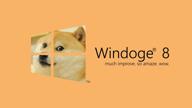 mammal, canine, vector, sign, doge, orange background, pets, yellow, colored background, text, memes, Windows 8, humor, illustration, communication, domestic Animals