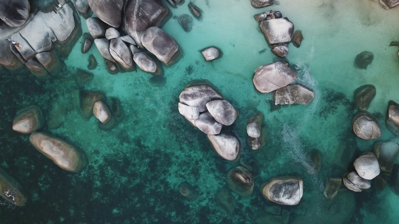 beauty in nature, large group of objects, view, nature, drone photography, birds eye view, top, directly above, seashore, seaside, swimming, rocky coast
