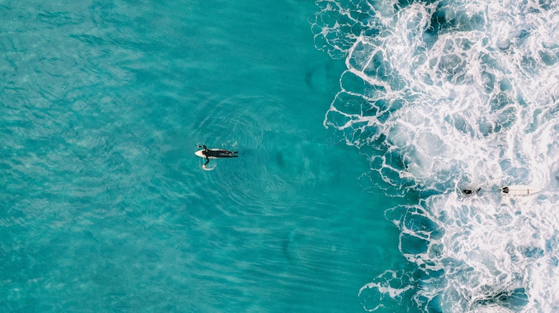 top, surf, waterfront, turquoise, motion, summer, beauty in nature, one animal, drone shot, view, surfer, beautiful, nautical vessel, sea, water, coast