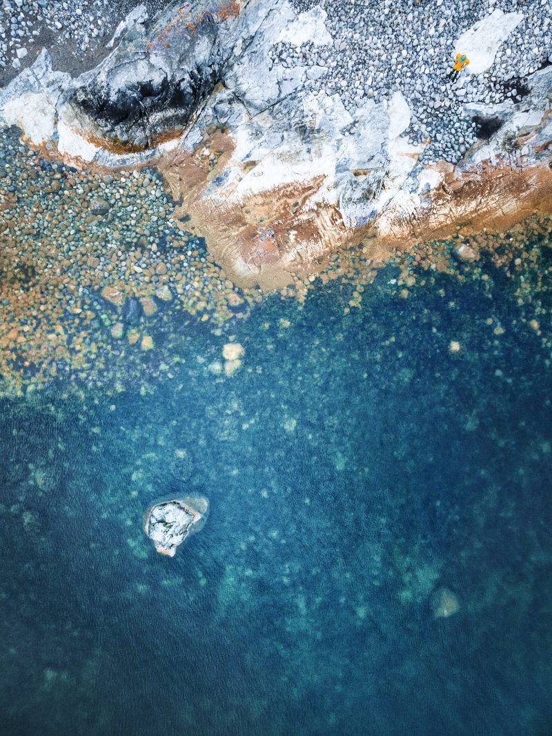 nature, animal wildlife, sea, solid, animal, drone photo, lake, water, marine, day, rock - object, group of animals, vertebrate, undersea, rock, animals in the wild