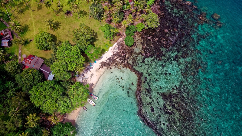 water, trees, bird, no people, drone photography, summer, swimming pool, birds eye view, boulders, day, turquoise, coconut trees, houses, view, sea, serene