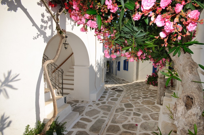 cyclades Islands, blue, Santorini, mediterranean Culture, flowers, aegean Sea, travel, decoration, village, window, no People, mediterranean Countries