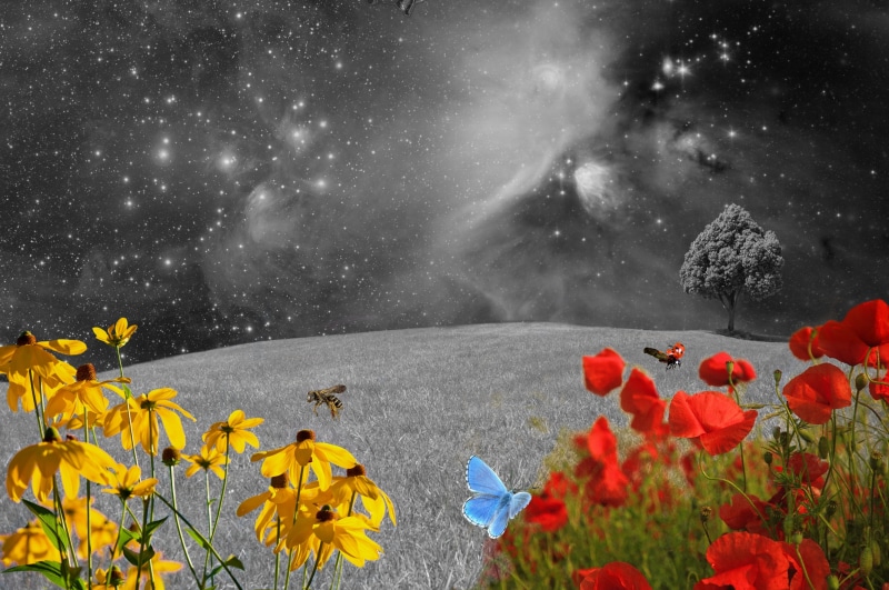land, no people, lighting, partly cloudy, assorted, night photograph, clouded sky, atmosphere, sice fiction, bloom, divinity, full moon, abstract, petaled