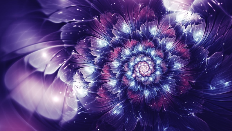 pattern, petaled, flower, pink, undersea, sea, fractal flowers, backgrounds, beauty in nature, 1080P, digital art, water, purple, no people, animals in the wild