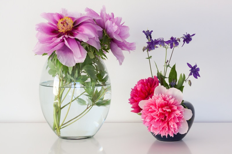 ornamental plant, lush, spring, studio shot, table, bouquet, peony, green, pentecost, vase, white, columbine, arrangement, close-up, nature, beauty in nature