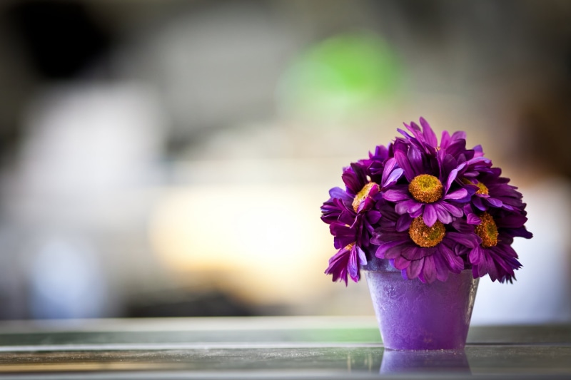 selective focus, red, backgrounds, leaf, nature, flower Head, yellow, summer, flowers, table, multi Colored, blossom, flower, purple, plant, pot, fragility