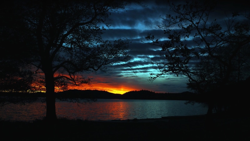 water, beauty in nature, body, sky, night, landscape, orange color, tree, sunlight, idyllic, sunset, outdoors, trees, cloud - sky, tranquil scene, 1080P
