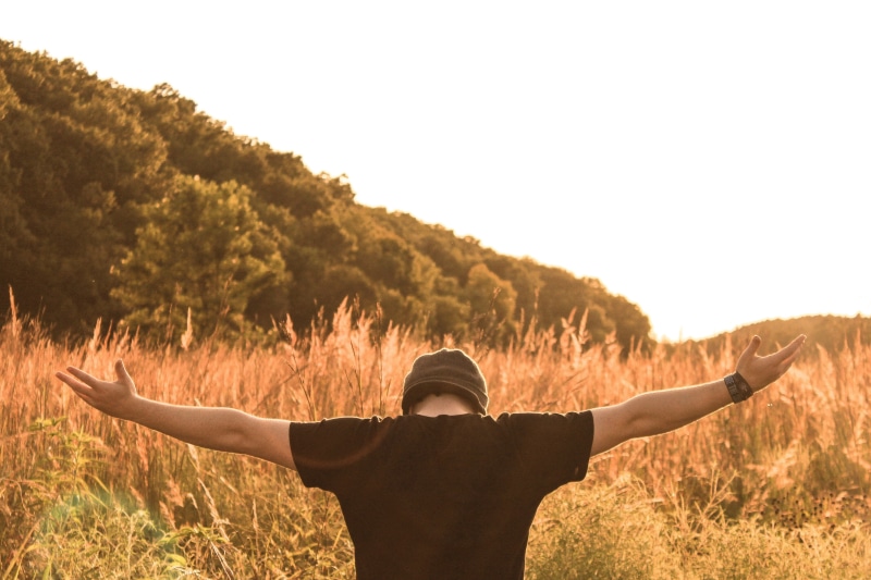 waist up, meadow, arms raised, happiness, male, outside, open, photo, arms outstretched, man, 4K, lifestyle, men, body part, standing, human limb, human body part
