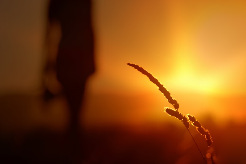 Morning Star, sun, back Lit, blur, serene, sunrise, girl, yellow  sun, photo, against the sun, sunlight, silhouette, outdoors, orange, golden, person, sunrise - Dawn