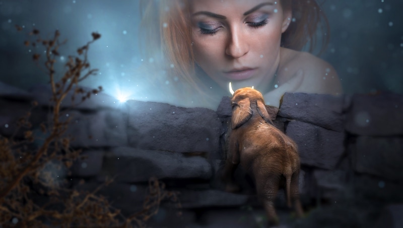 night, fairytale, atmospheric, lichtblick mood, adult, outdoors, young women, beautiful woman, digital composite, mysterious, girl, beauty, contemplation